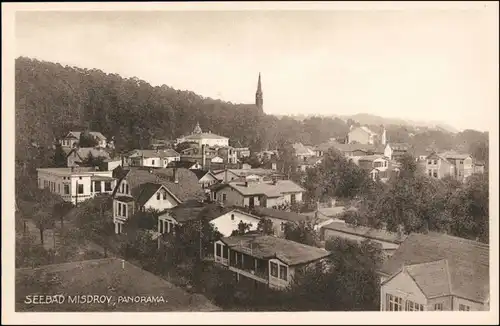 Postcard Misdroy Międzyzdroje Villen und Stadt 1918 