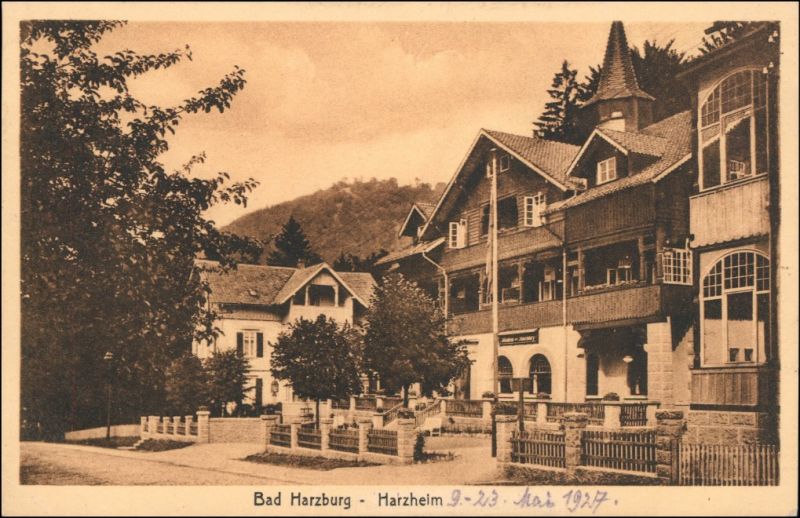 Ansichtskarte Bad Harzburg Partie am Harzheim 1920 Nr