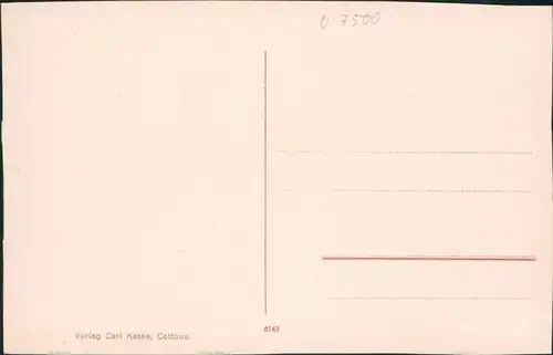 Ansichtskarte Cottbus Choćebuz Spreepartie am Schloss 1916 