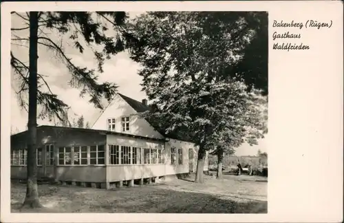 Ansichtskarte Bakenberg Gasthaus Waldfrieden 1959 