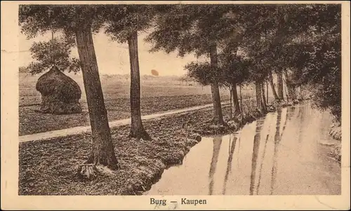 Ansichtskarte Burg (Spreewald) Borkowy (Błota) Spreewald - Kaupen 1915 