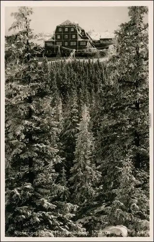 Brückenberg-Krummhübel Karpacz Blick durch den Wald Hampelbaude - Winter 1931