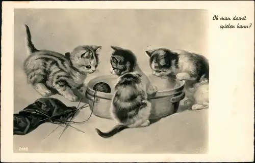 Ansichtskarte  Kätzchen spielen mit Wollkneul 1939