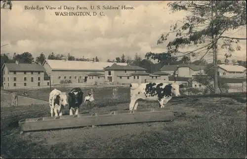 Postcard Washington D.C. Dairy Farm US Soldier Home 1907 