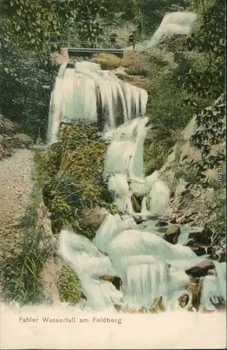 Ansichtskarte Titisee-Neustadt Fahler Wasserfall am Feldberg 1905 