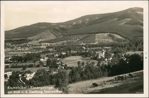 Postcard Krummhübel Karpacz Blick auf Siedlung Steinseiffen 1929 