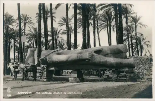 Postcard Sakkara The Colossal Statue of Rameses 1929 