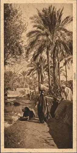 Ägypten   Trachten Typen Ägypten - Egypt A native Scenery at Marg 1928