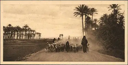 Ägypten (allgemein) Egypt Shepherd driving homeward - Typen 1928 