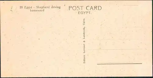 Ägypten (allgemein) Egypt Shepherd driving homeward - Typen 1928 