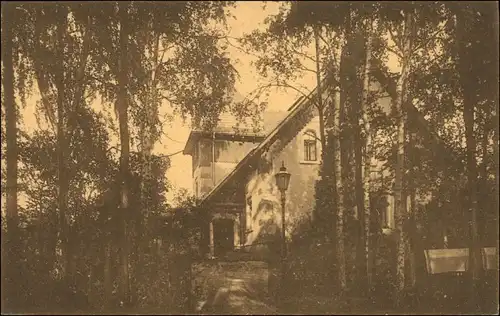 Ansichtskarte Coswig Sachsen Parkhaus Heilstätte Lindenhof 1917 