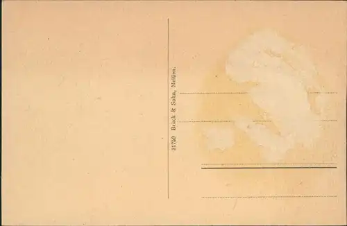 Ansichtskarte Stolpen Geschäft Max Wünsche - Altes Tor 1913 