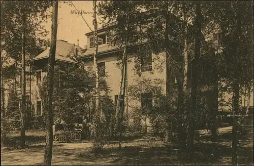 Ansichtskarte Coswig Sachsen Heilstätte Lindenhof - Waldhaus 1915 