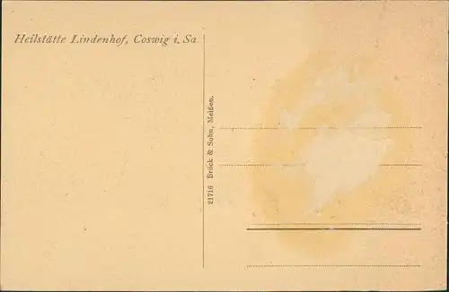 Ansichtskarte Coswig Sachsen Heilstätte Lindenhof - Waldhaus 1915 