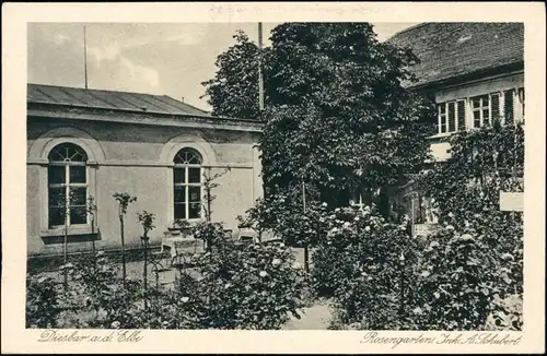 Ansichtskarte Diesbar (Elbe)-Nünchritz (Elbe) Restaurant Rosengarten 1928 