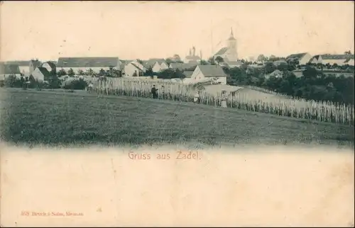 Ansichtskarte Zadel-Diera-Zehren Blick auf die Stadt 1908 