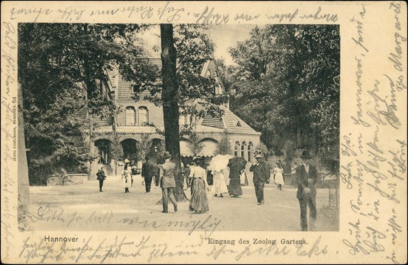 Ansichtskarte Hannover Zoologischer Garten Eingang 1904 Nr