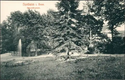 Ansichtskarte Northeim Haus, Parkpartie - Gesundbrunnen 1913 