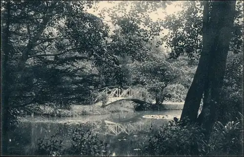 Ansichtskarte Borna Brücke Partie in den städtischen Anlagen 1914 