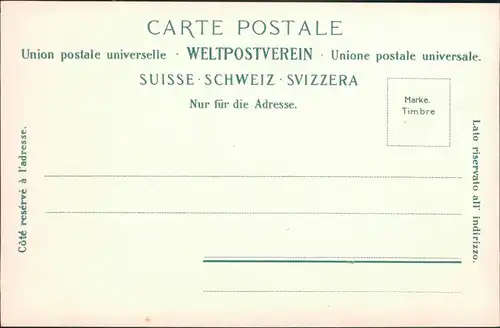 Ansichtskarte Amsteg-Silenen Stadtpartie dund Gotthardbahn 1909 