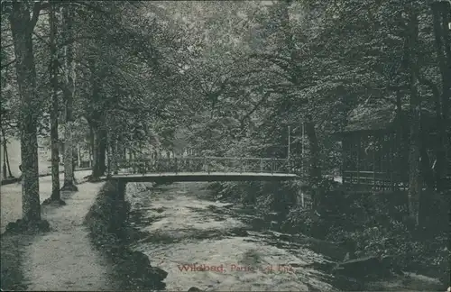 Ansichtskarte Bad Wildbad Enzpartie - Pavillon und Brücke 1906 