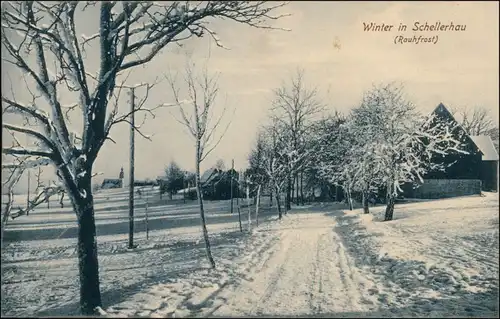 Schellerhau-Altenberg (Erzgebirge) Straßenpartie im Winter 1913 