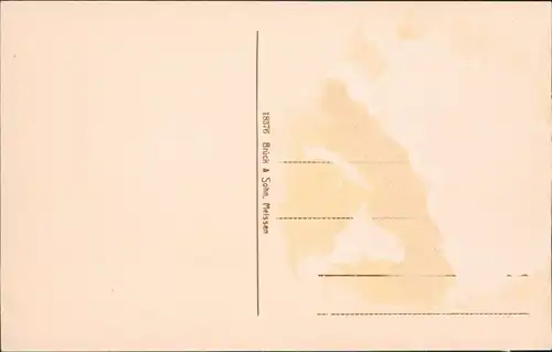 Schellerhau-Altenberg (Erzgebirge) Straßenpartie im Winter 1913 