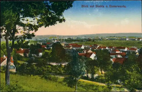 Ansichtskarte Biehla-Elsterwerda Wikow Blick auf die Stadt 1916 