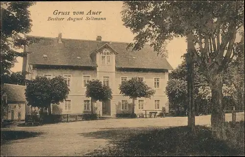 Ansichtskarte Auer-Moritzburg Waldgasthof "Auer" 1913 