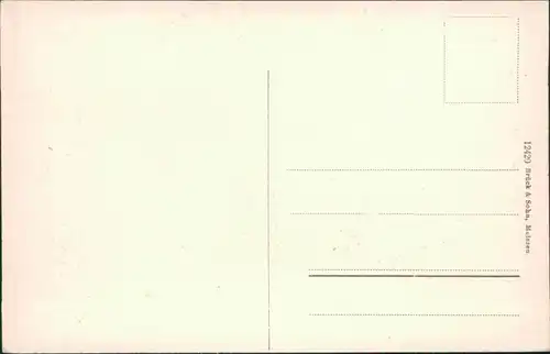 Ansichtskarte Elsterwerda Wikow Partie am Pilz im Stadtpark 1909 