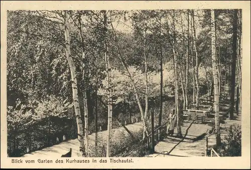 Zschopau Blick vom Garten des Kurhauses Tischautal - Finkenkrug 1912 