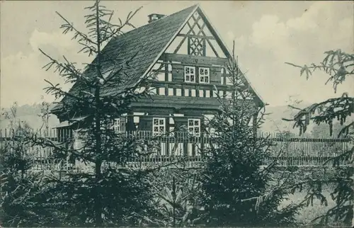 Ansichtskarte _Thüringen (Allgemein) Bauernhaus vom Thüringer-Wald 1919