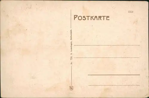 Goslar Kaiserworth, Panorama, Brusttuch, Zwinger, Rathaus, Breitetor 1920