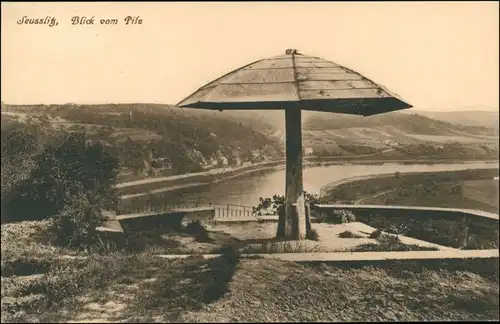 Ansichtskarte Seußlitz-Nünchritz (Elbe) Blick vom Pilz 1911