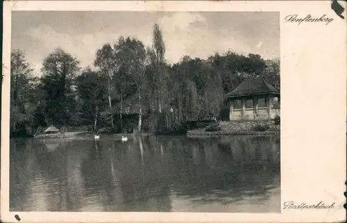 Ansichtskarte Senftenberg (Niederlausitz) Pavillon - Stadtparkteich 1941 