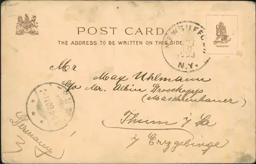 Postcard Worcester Worcester Cathedral from the River Severn 1903