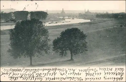 Innere Altstadt-Dresden Blick vom Waldschlössschen auf die Stadt 1907 