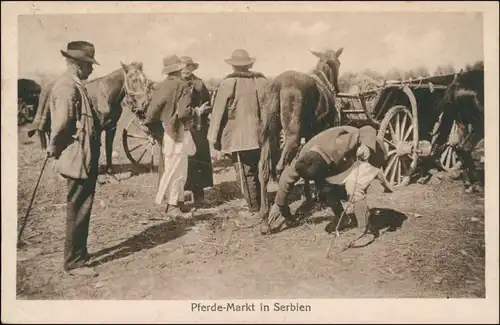 Ansichtskarte  Militaria - Pferdemarkt in Serbien 1918 