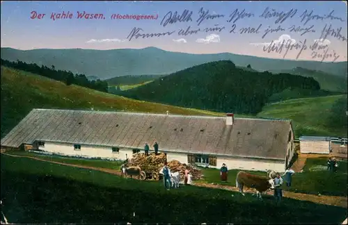 Hartmannsweiler Hartmannswiller Bauerngehöft - Der kahle Wasen 1915