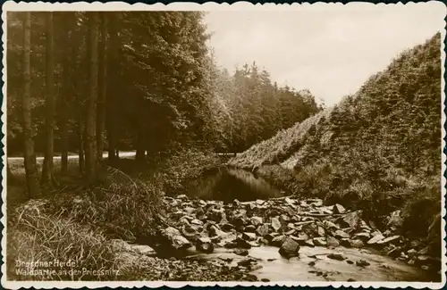 Ansichtskarte Dresdner Heide-Dresden Waldpartie an der Priessnitz 1935 