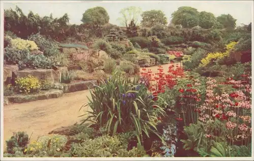 Postcard Kew-London Royal Botanic Gardens, A view in the Rock Garden 1918