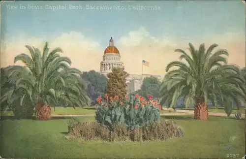 Postcard Sacramento View in State Capitol Park 1920