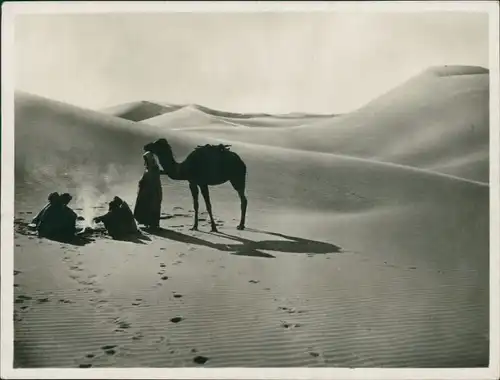 Kairo القاهرة Kamel und Menschen um Lagerfeuer in der Wüste 1928