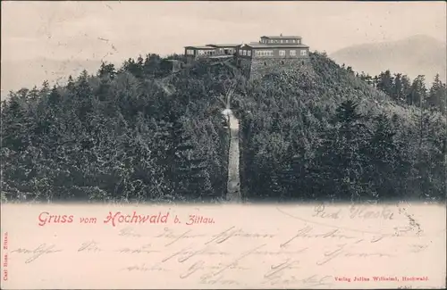 Ansichtskarte Oybin Partie auf dem Hochwald 1905 