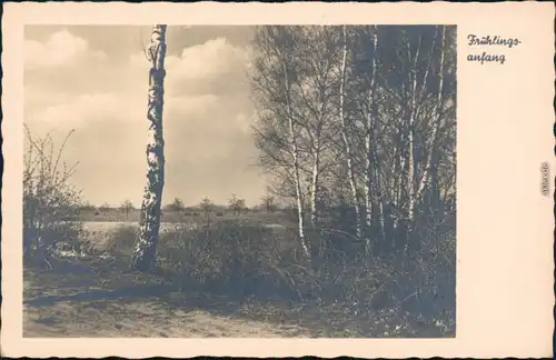Ansichtskarte  Stimmungsbild: Frühling 1930 