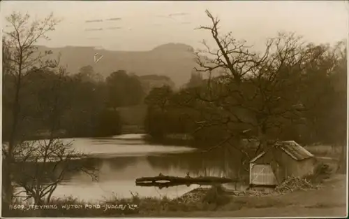 Postcard Steyning Wiston Pond 1909