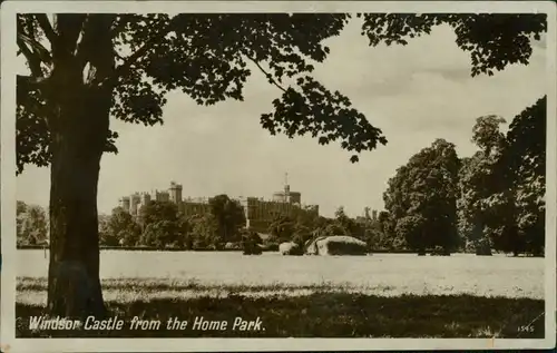 Postcard Windsor Windsor Castle from the Home Park 1950