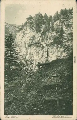 Ansichtskarte Altenberg an der Rax Wachthüttelkamm 1922