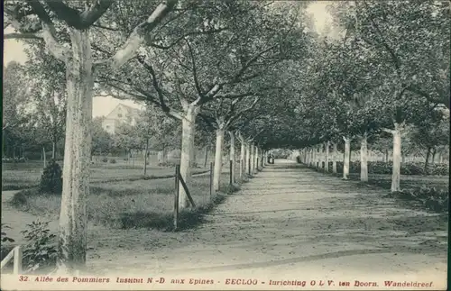 Postkaart Eeklo Allée des Pommiers - Institut Notre Dame aux Epines 1914