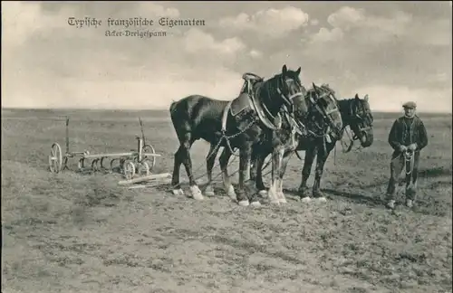 _Frankreich allgemein Französische Eigenarten Typen Acker Dreigespann 1916 